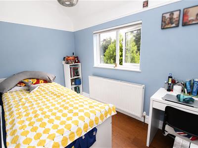 Picture 16